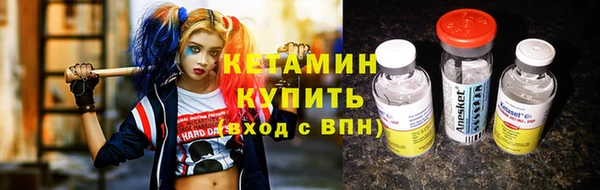 мет Алексин
