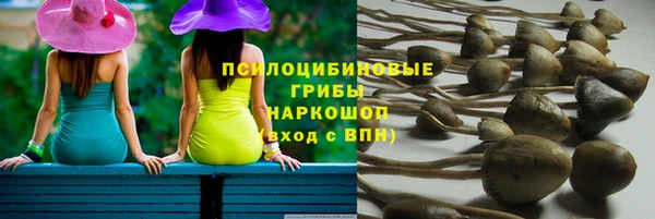 spice Абдулино