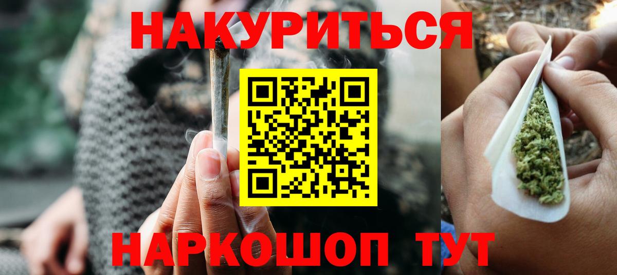 Конопля сатива Звенигород